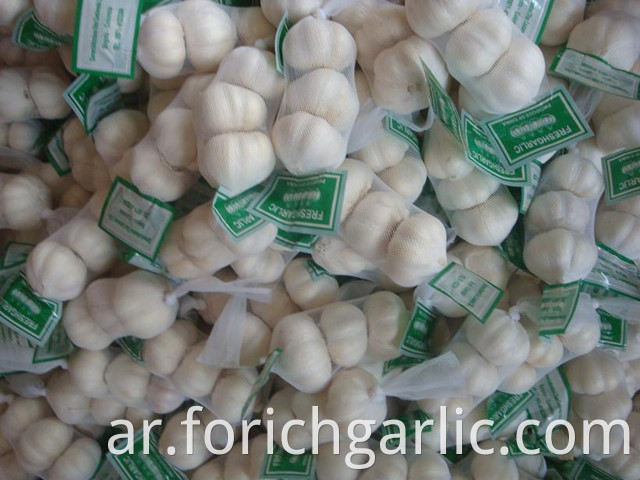 Pure White Garlic